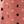 Salmon Multi