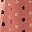 Salmon Multi