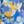 Blue Violet Multi