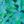 Bright Green Combo