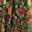 Black Green Multi