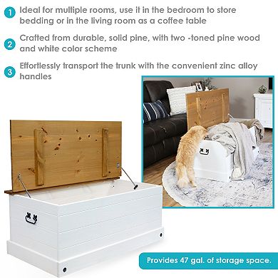 Sunnydaze Solid Pine Trunk with Handles - Gray - 39.5" W