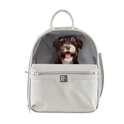 Friends Forever Pet Backpack Carrier Gray