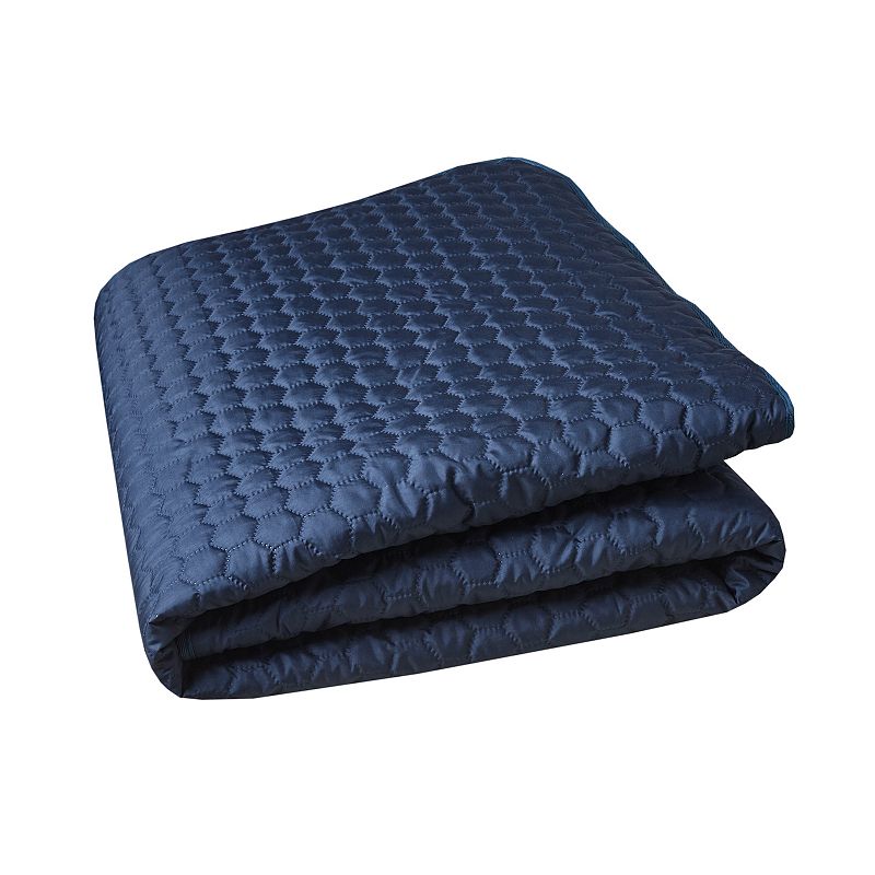Friends Forever Travel Pet Blanket, Blue