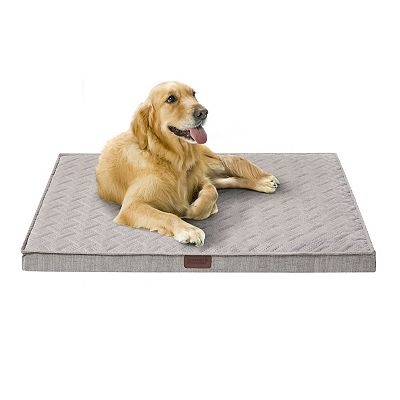 Friends forever dog bed medium best sale