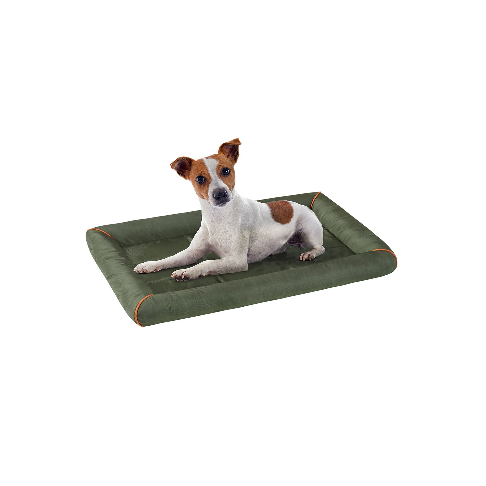 Friends Forever Bolster Rectangular Crate Mat, Green
