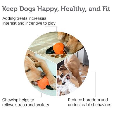 Friends Forever Small Kettlebell Chew Toy