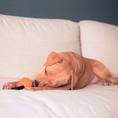 Friends Forever Small Kettlebell Chew Toy