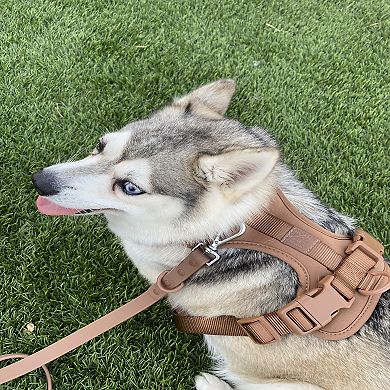 Everyday Brown Dog Harness