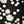 Black White Daisy