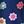 Navy Daisy Multi