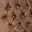 Bomberbrownmicrofiber