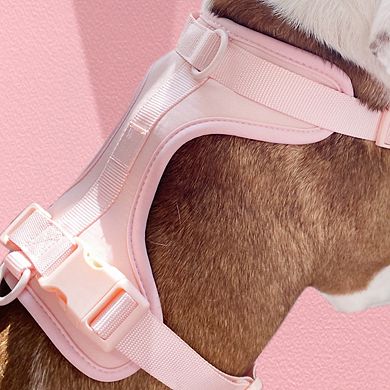 Everyday Baby Pink Dog Harness