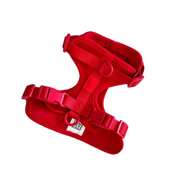 Everyday Red Dog Harness