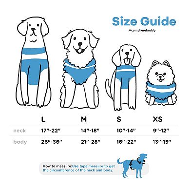 Everyday Sky Blue Dog Harness Set