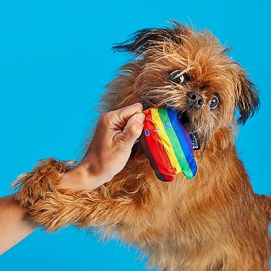 BARK Some Bear Over The Rainbow Pride Dog Toy