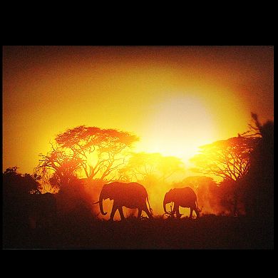 Safari Sunset LED Back Lit Decorative Elephant Canvas Wall Art 11.75” x 15.75”