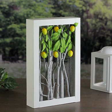 14.5" White Birch Branch Lemon Tree Rustic Wooden Frame Decoration