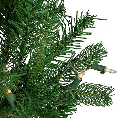 4' Pre-Lit Sierra Noble Fir Artificial Christmas Tree Clear Lights