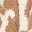 Tan Leopard