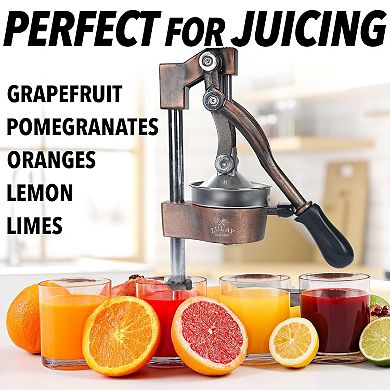 Professional Heavy Duty Citrus Juicer