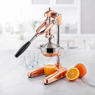 Professional Heavy Duty Citrus Juicer