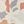 Pumice