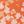Neutral Floral