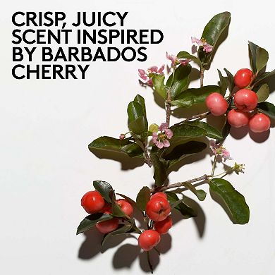 Cherry Dub Triple Action AHA Body Scrub