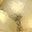 Gold Tone