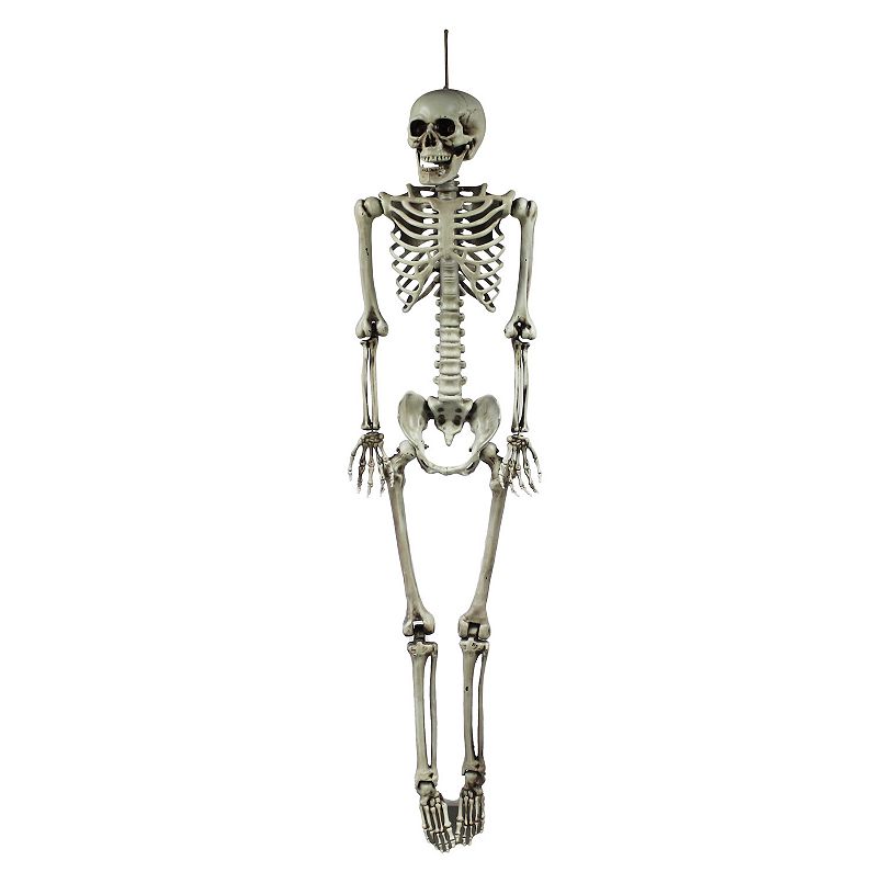 A Celebrate Together Halloween Skeleton Wall Decor hung by a bit of black string