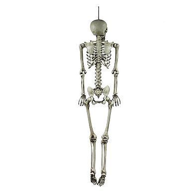 Celebrate Together Halloween Skeleton Wall Decor