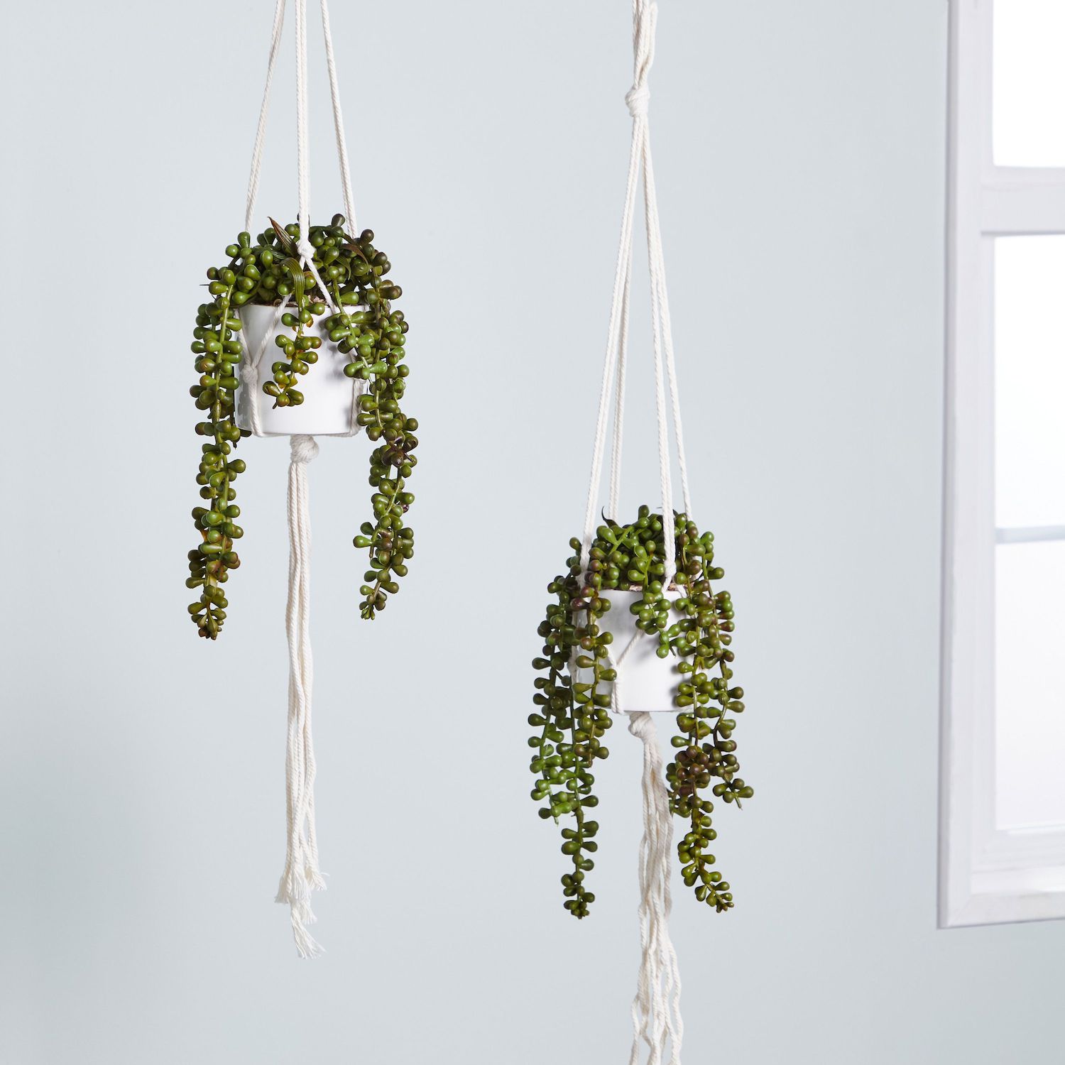 Hanging Artificial String Of Pearls Plant With White Ceramic Pot For ...