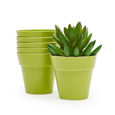 24 Pack Small Plastic Plant Pots for Flowers and Succulents, Gardening Supplies (4 Colors, 1.5 x 2.3 In)