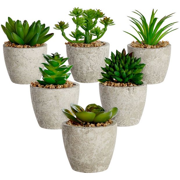 6 Pack Artificial Succulent Plant Pots, Faux Indoor Mini Cactus, 2.7 to 4 in