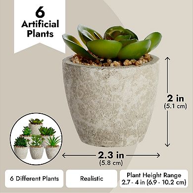 Juvale Artificial Succulents 6 Pack - Cactus Plants with Gray Pots - 4 inch