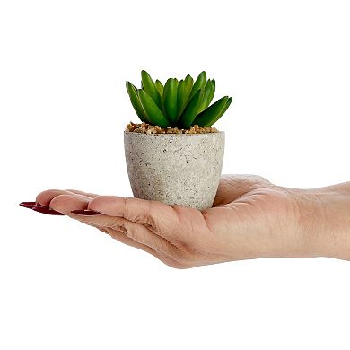 6 Pack Artificial Succulent Plant Pots, Faux Indoor Mini Cactus, 2.7 to 4 in