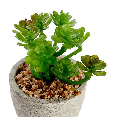 6 Pack Artificial Succulent Plant Pots, Faux Indoor Mini Cactus, 2.7 to 4 in