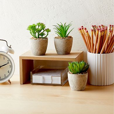 6 Pack Artificial Succulent Plant Pots, Faux Indoor Mini Cactus, 2.7 to 4 in