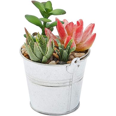 Juvale 4 Pack Artificial Succulents, 6.5 inch Colorful Fake Cactus Plants with Iron Bucket