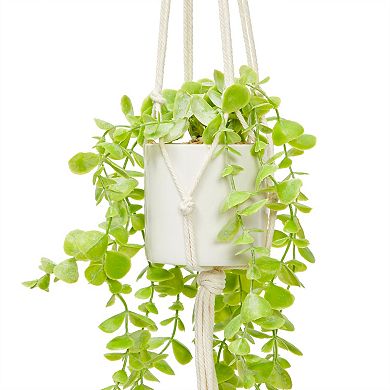 Hanging Artificial Eucalyptus Plant with White Ceramic Pot for Wall Decor, House Warming Gift (31 in, 2 Pack)