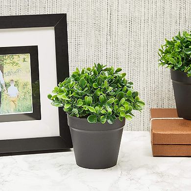 3 Pack Mini Artificial Potted Fake Plants for Home Decor, Small Faux Topiaries for Indoor Shelves or Outdoor Garden (5 x 5.2 In)