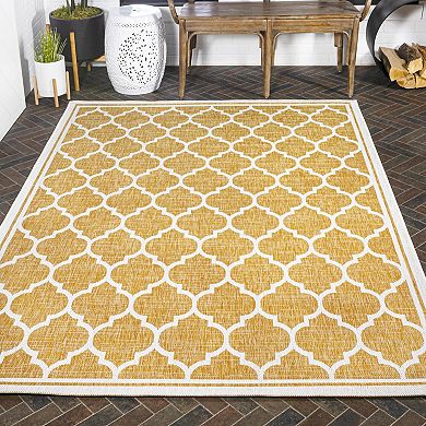 Trellis Indoor/Outdoor Rug