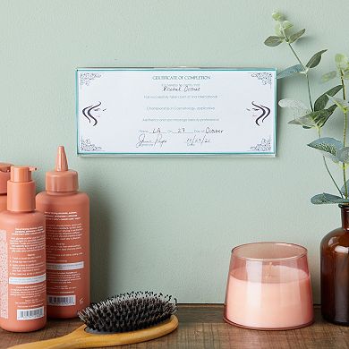 Clear Acrylic Business License Frame Holder for Cosmetology and Documents (3 Pack)