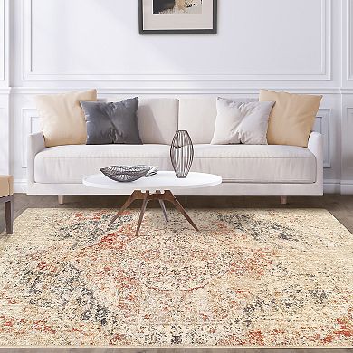 SUPERIOR Ombre Distressed Indoor Area Rug