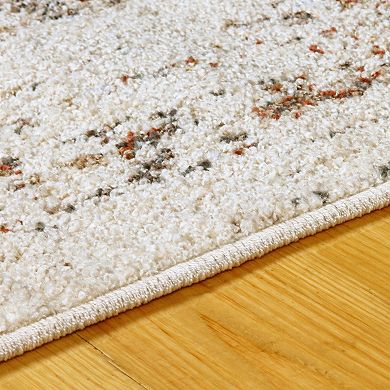 SUPERIOR Ombre Distressed Indoor Area Rug