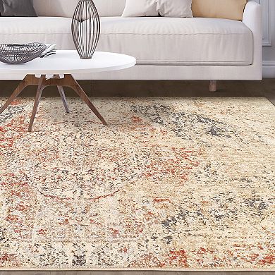 SUPERIOR Ombre Distressed Indoor Area Rug