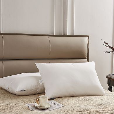 Farm To Home Organic Blended Cotton Cover Down Alternative Set of 2 Pillows