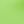 Light Olive Green