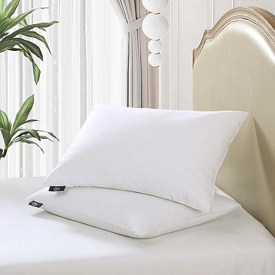 Serta HeiQ Cooling Softy Around Feather Down Set of 2 Pillows